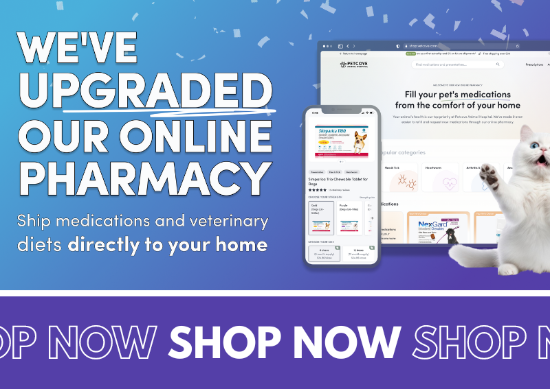 Carousel Slide 6: Online-Pharmacy